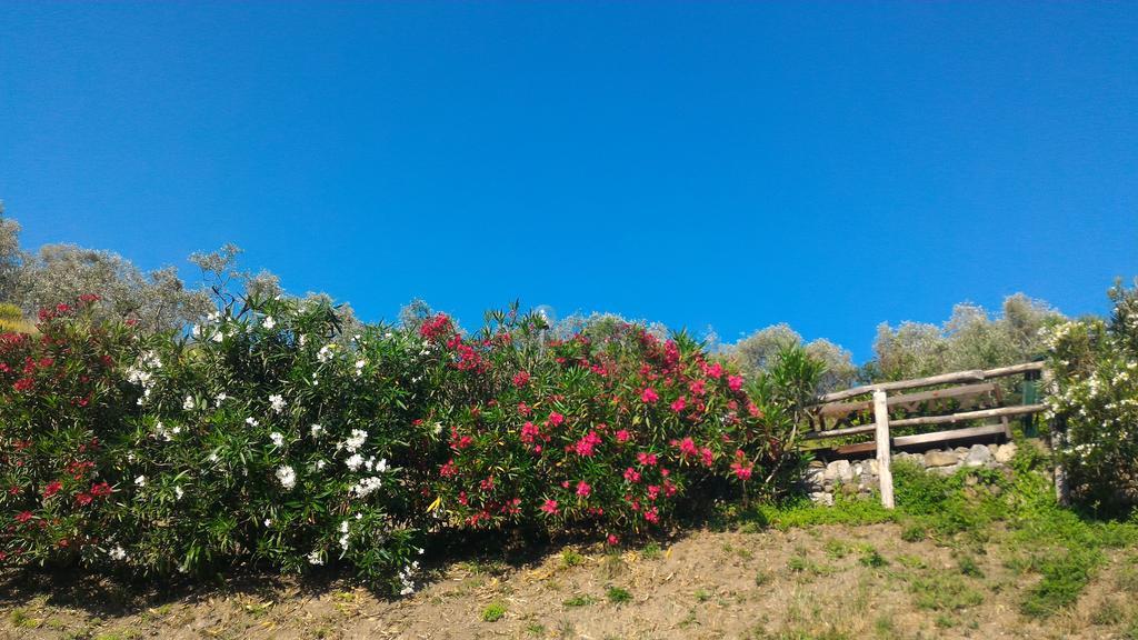 Agriturismo La Quiete Levanto Exterior foto